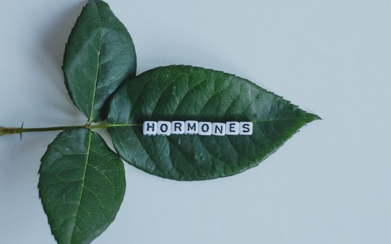 Understanding Hormone Imbalance: A Guide for Women's Health