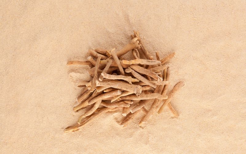Ashwagandha: A Trendy Herb That Blew up on TikTok