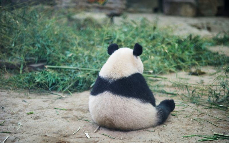 Attacking Your Depression