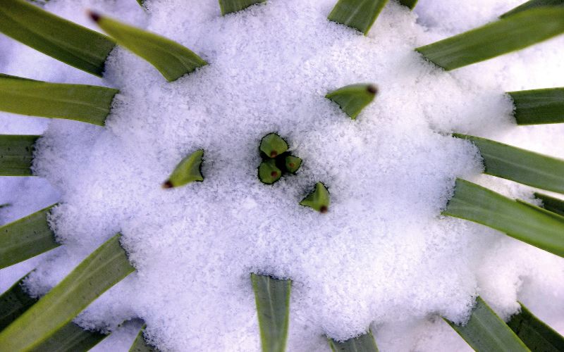 Your Guide to a Healthy Winter: Discover the Best Supplements to Boost Immunity