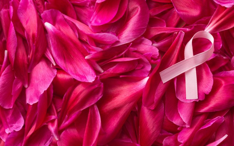 Empowering Women: Sol Nutritions' Efforts in Breast Cancer Awareness Month