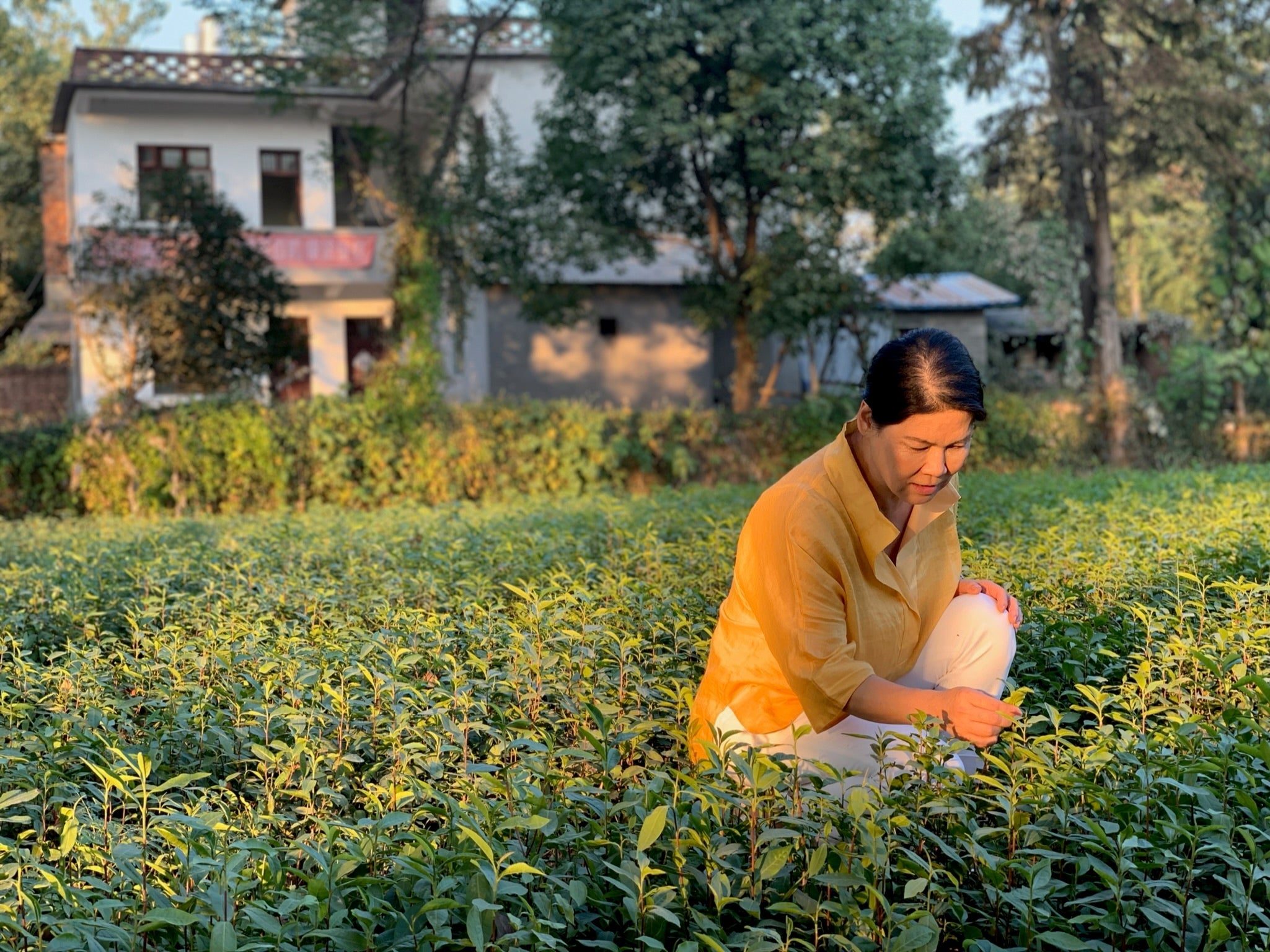 Lifestyle Recommendations to Boost Low Thyroid Functions