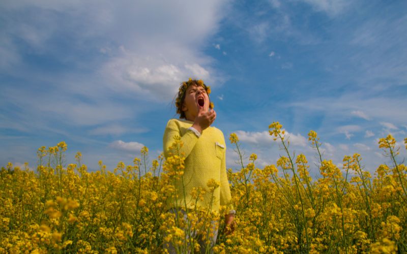 Spring Without Allergies