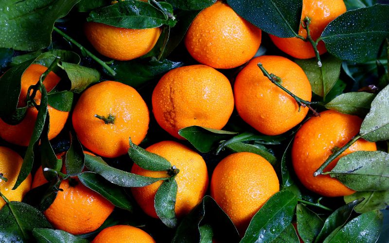 Top 10 Natural Foods to Boost your Immune System