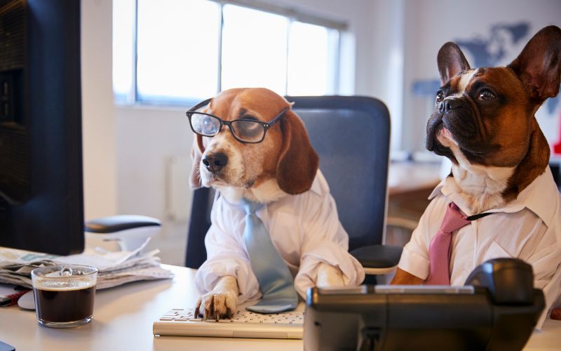 Battling Fatigue: Unraveling the Underlying Causes of Low Energy