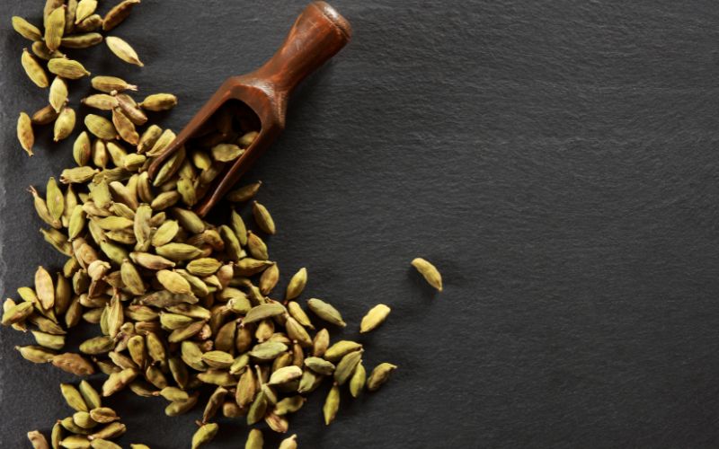 Understanding the Gut-Brain Axis: A Comprehensive Guide