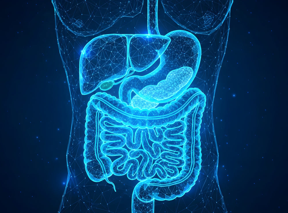 Why Is Metabolic Health So Important