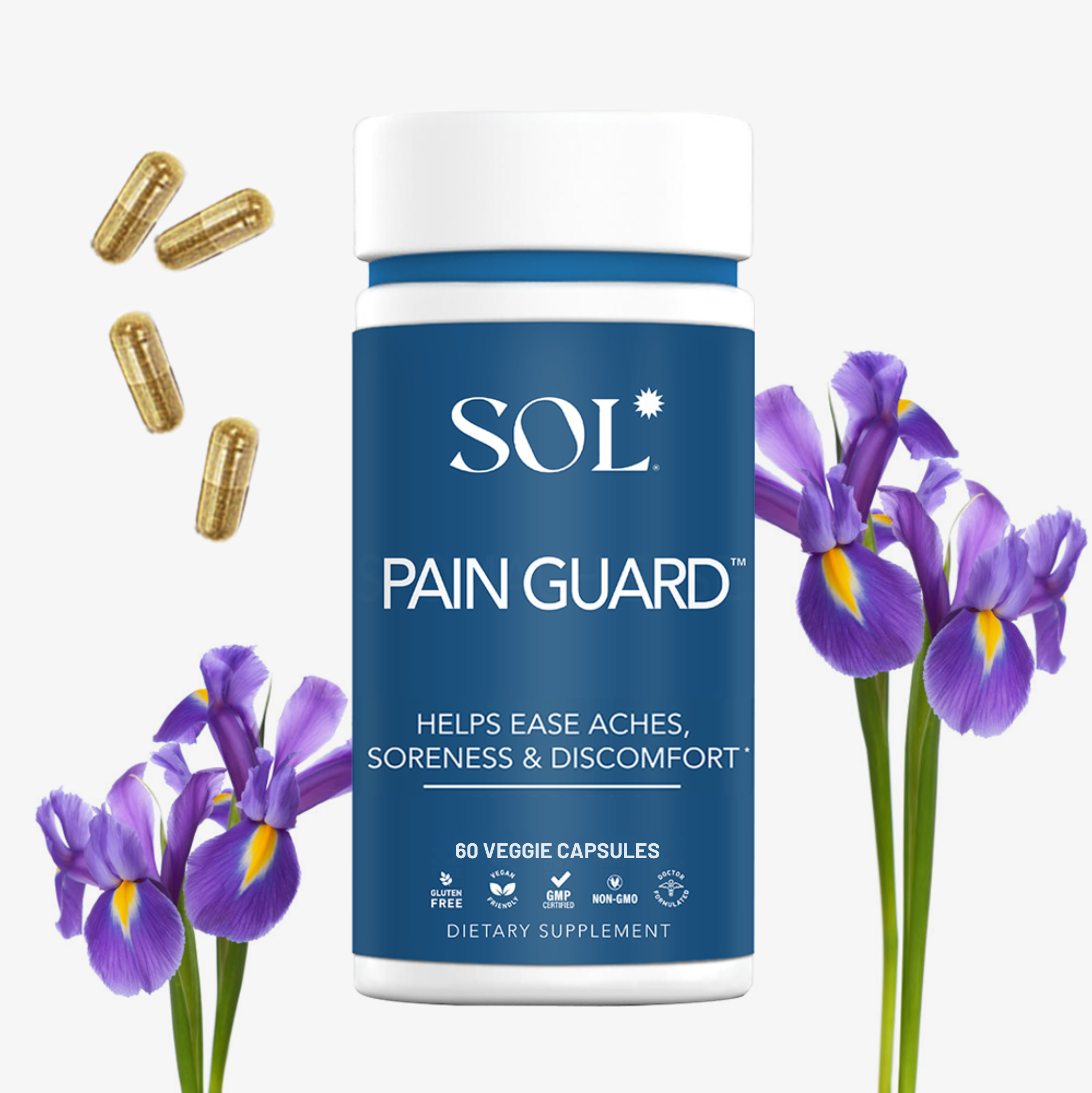 PAIN GUARD™️