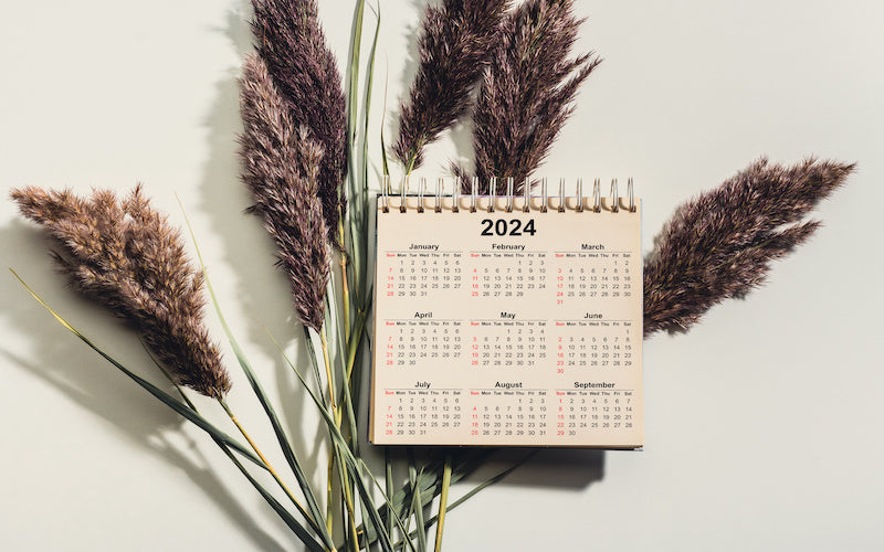 A Guide to a Healthier You in the New Year