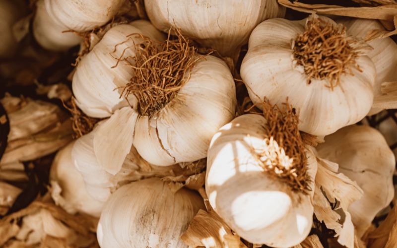 Fatal Choices: Can Garlic Really Kill You?