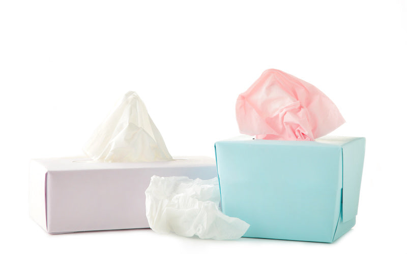 Immune Defense Guide for Flu Season